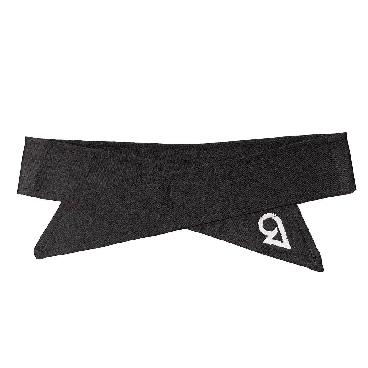 Bushi Rexy Hachimaki